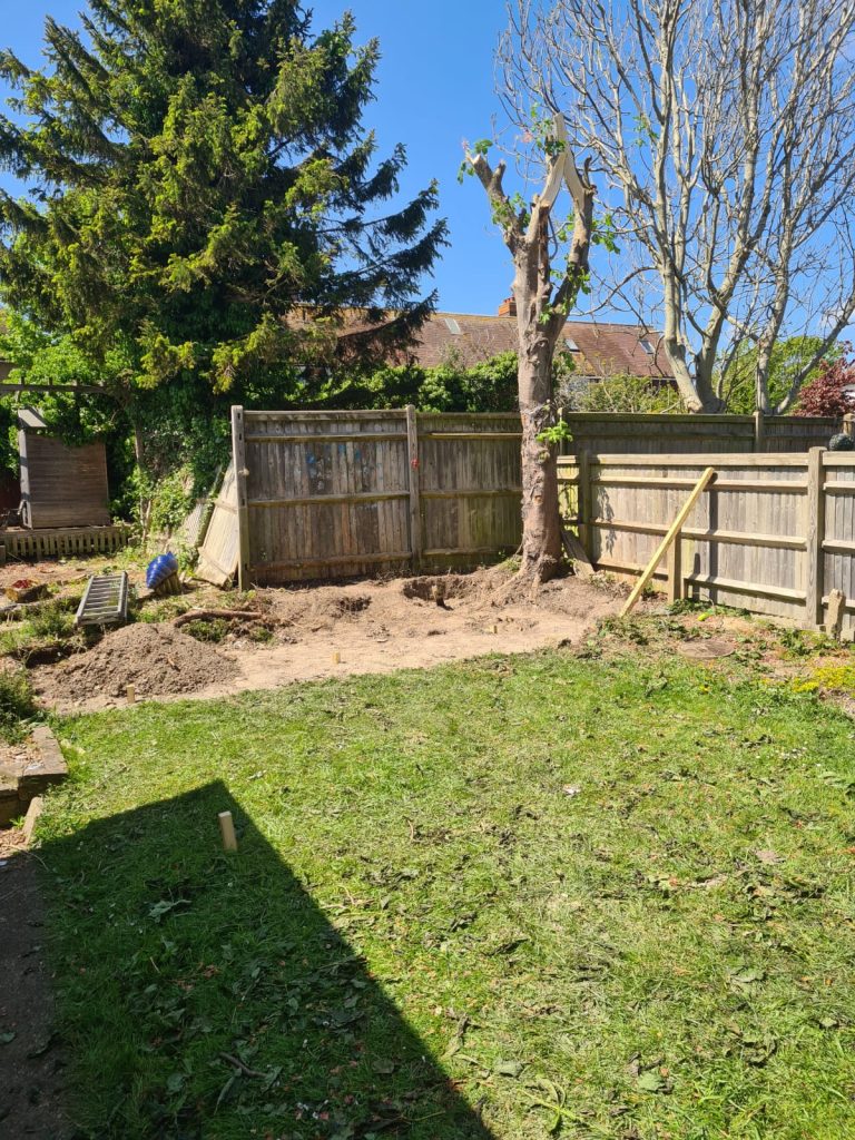 preparing-garden-bed-with-fence-and-tree